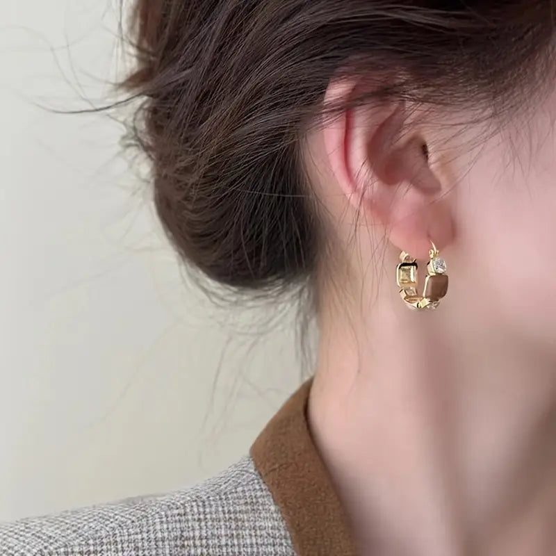 Vintage Luxury Brown Earrings, Simple Earrings, Fashion Elegant Earrings For Women