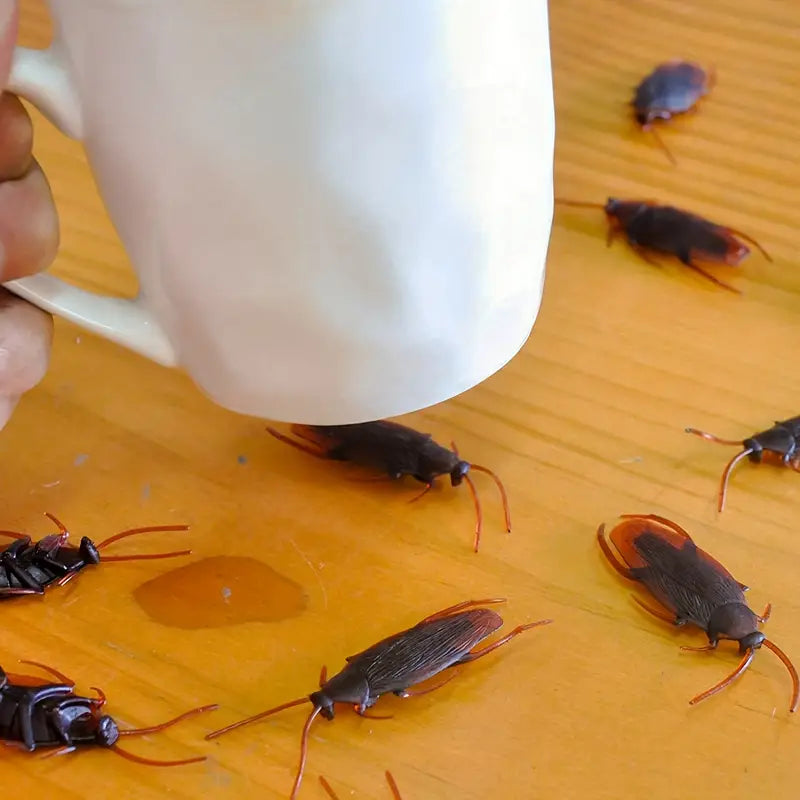 10pcs Prank Fake Roaches
