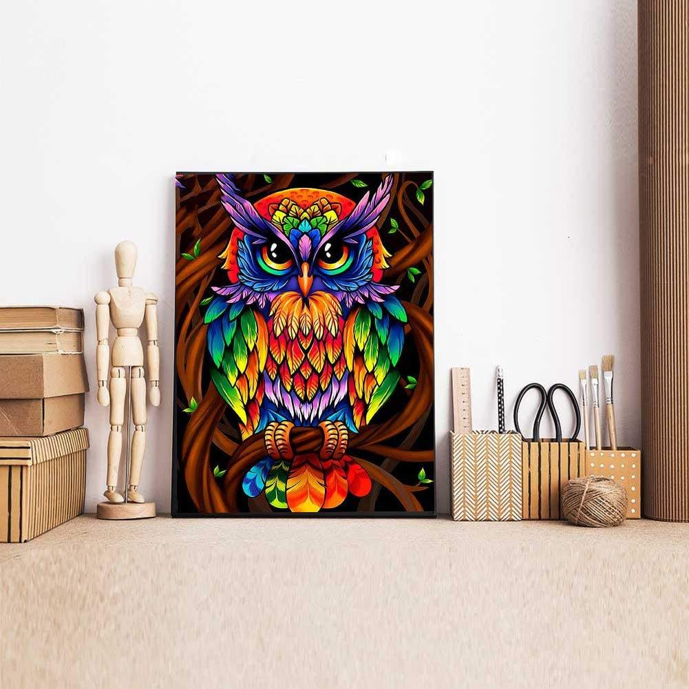 5D Diamond Painting Round And Square Full Drill Dream Owl